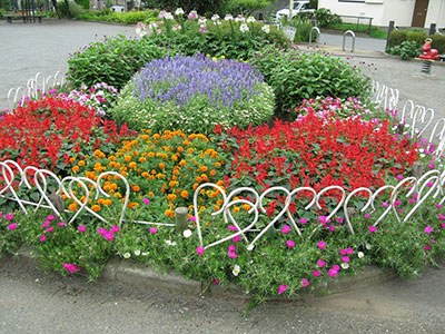 三角公園８月の花壇写真3
