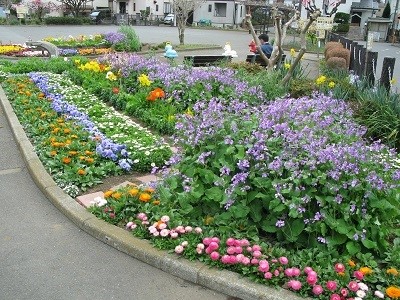 写真　5月の三角公園花壇2